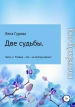 Две судьбы. Часть 2. Развод – это… не всегда верно!