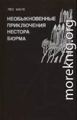 Нестор Бюрма в родном городе