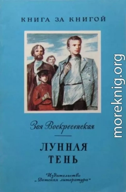 Лунная тень