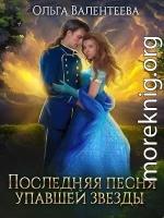 Последняя песня упавшей звезды