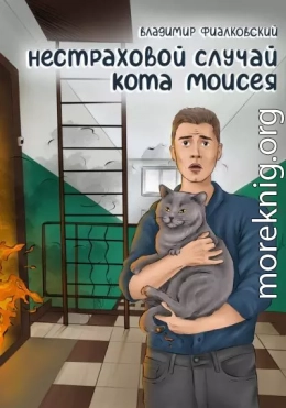 Нестраховой случай кота Моисея