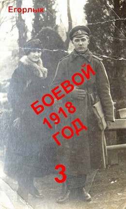 Боевой 1918 год-3