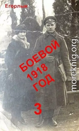 Боевой 1918 год-3