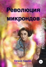 Революция микрондов