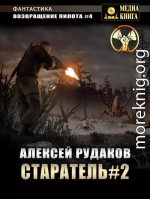 Старатель. Книга 2
