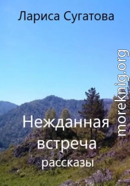 Нежданная встреча