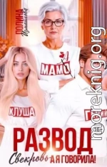 Развод. Свекровь - а я говорила!