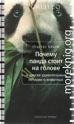 Почему панда стоит на голове и другие удивительные истории о животных