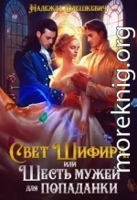 Свет Шифира, или Шесть мужей для попаданки