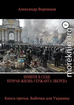 Прийти в себя. Вторая жизнь сержанта Зверева. Книга третья