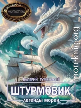 Штурмовик-8. Легенды морей