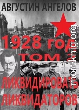 1928 год: ликвидировать ликвидаторов. Том 2