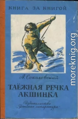 Таёжная речка Акшинка