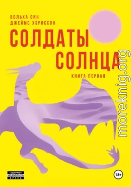 Солдаты Солнца. Книга 1