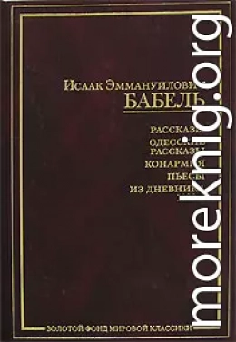 Конармейский дневник 1920 года