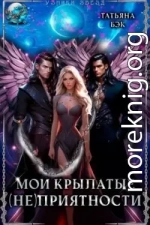 Мои крылатые (не)приятности