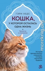 Кошка, у которой осталась одна жизнь