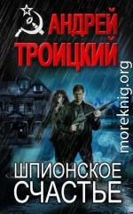 Шпионское счастье