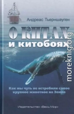 О китах и китобоях. Как мы чуть не истребили самое крупное животное на Земле