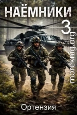 Наемники. Книга 3