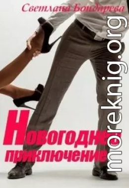 Новогоднее приключение