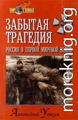 Забытая трагедия. Россия в первой мировой войне