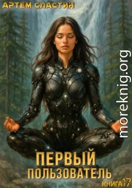 Первый пользователь. Книга 17