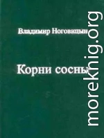 Корни сосны