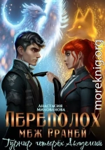 Переполох меж Граней. Турнир четырёх Академий