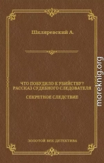 Что побудило к убийству? Рассказ судебного следователя. Секретное следствие