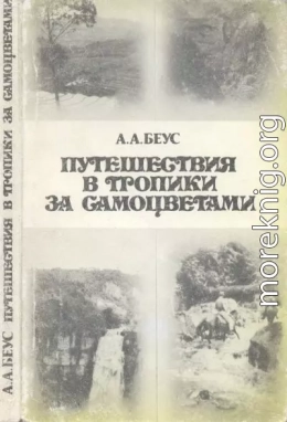 Путешествия в тропики за самоцветами