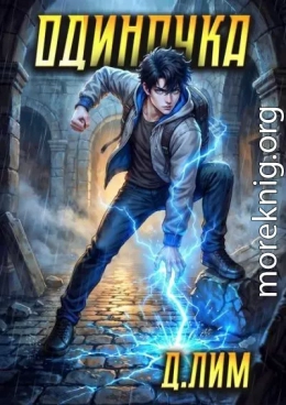 Одиночка. Том VIII