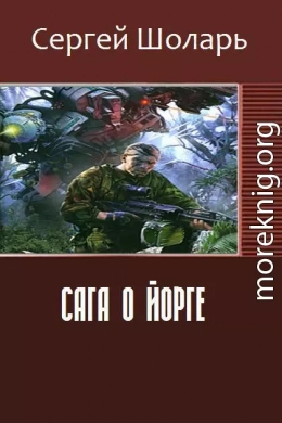 Сага о йорге (СИ)