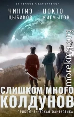 Слишком много колдунов (СИ)