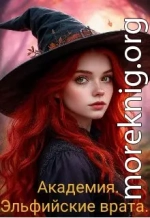 Академия. Эльфийские врата