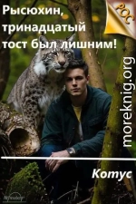 Рысюхин, тринадцатый тост был лишним!