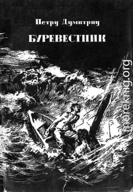 Буревестник