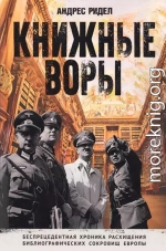 Книжные воры