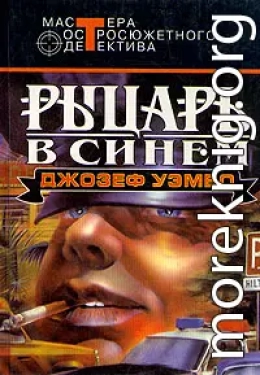 Синий рыцарь