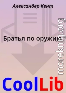 Братья по оружию