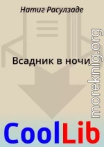 Всадник в ночи