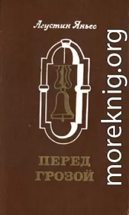  Перед грозой