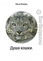 Душа кошки