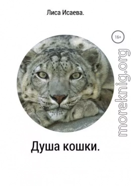 Душа кошки