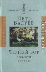  Черный бор: Повести, статьи