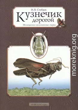 Кузнечик дорогой. Эволюционно-экологические очерки