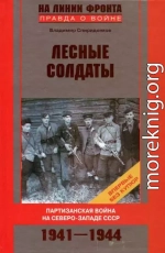 Лесные солдаты. Партизанская война на Северо-Западе СССР. 1941-1944