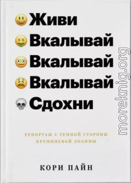 Живи, вкалывай, сдохни. Репортаж с темной стороны Кремниевой долины