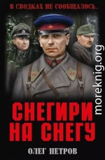 Снегири на снегу (сборник)