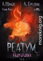Реатум. Книга 2. Подготовка. Том 2
